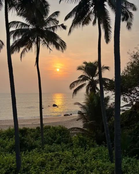 GOA: REUNION
